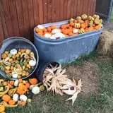 The Robinson Family Farm photo