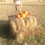 The Robinson Family Farm photo