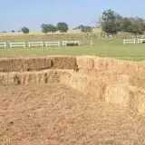The Robinson Family Farm photo