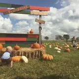 The Robinson Family Farm photo
