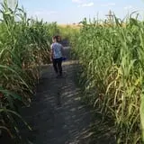 The Robinson Family Farm photo