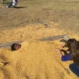 The Robinson Family Farm photo