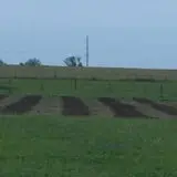 The Robinson Family Farm photo