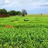 The Robinson Family Farm photo