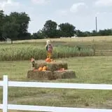 The Robinson Family Farm photo