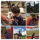 The Robinson Family Farm photo