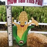The Robinson Family Farm photo