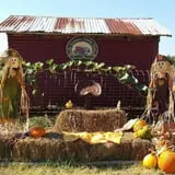 The Robinson Family Farm photo