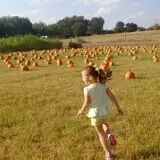The Robinson Family Farm photo