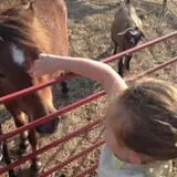 The Robinson Family Farm photo