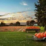 The Robinson Family Farm photo