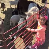 The Robinson Family Farm photo