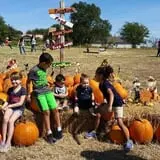 The Robinson Family Farm photo