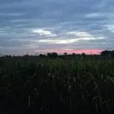 The Robinson Family Farm photo