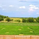 The Robinson Family Farm photo