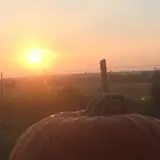 The Robinson Family Farm photo