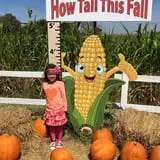 The Robinson Family Farm photo