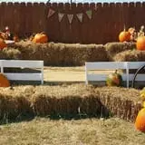 The Robinson Family Farm photo