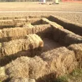 The Robinson Family Farm photo