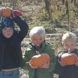 Hee Haw Farms Corn Maze photo