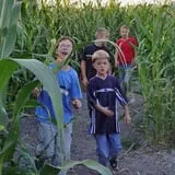 Hee Haw Farms Corn Maze photo