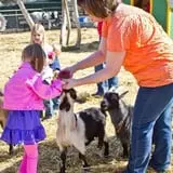 Hee Haw Farms Corn Maze photo