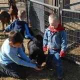 Hee Haw Farms Corn Maze photo