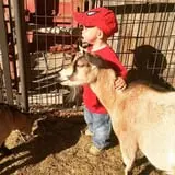 Hee Haw Farms Corn Maze photo