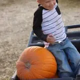 Hee Haw Farms Corn Maze photo