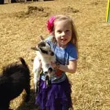 Hee Haw Farms Corn Maze photo