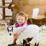 Hee Haw Farms Corn Maze photo