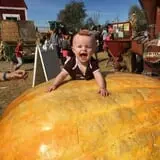 Hee Haw Farms Corn Maze photo