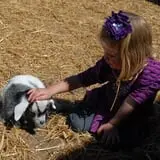 Hee Haw Farms Corn Maze photo