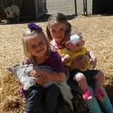 Hee Haw Farms Corn Maze photo