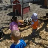 Hee Haw Farms Corn Maze photo