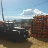 Hee Haw Farms Corn Maze photo