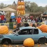 Hee Haw Farms Corn Maze photo
