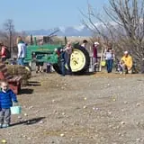 Hee Haw Farms Corn Maze photo