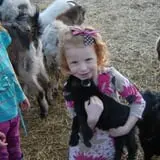 Hee Haw Farms Corn Maze photo