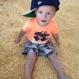 Hee Haw Farms Corn Maze photo
