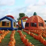 The Flower Mound Pumpkin Patch photo