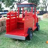The Flower Mound Pumpkin Patch photo