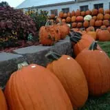 Sass Family Farm photo