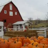 Sass Family Farm photo