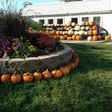 Sass Family Farm photo