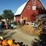 Sass Family Farm photo