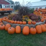 Sass Family Farm photo
