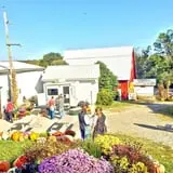 Sass Family Farm photo