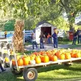 Sass Family Farm photo