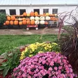 Sass Family Farm photo